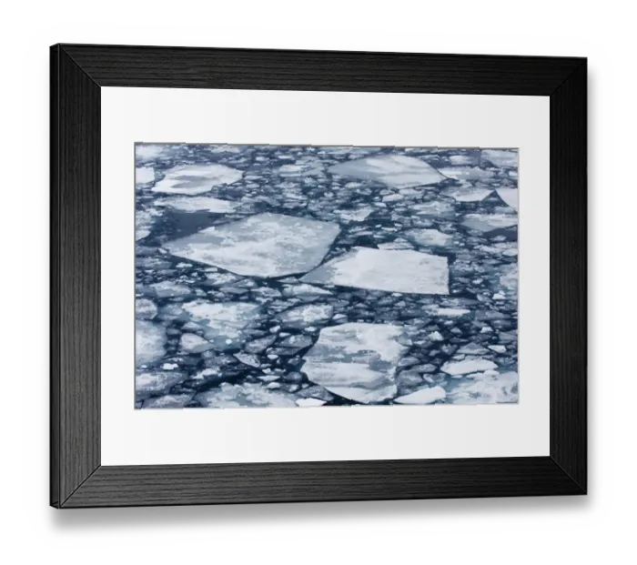 Framed Print : 01988dt. Broken pack ice - Brash Ice in Weddell Sea Antarctic Framed Print : 01988dt. Broken pack ice - Brash Ice in Weddell Sea Antarctic