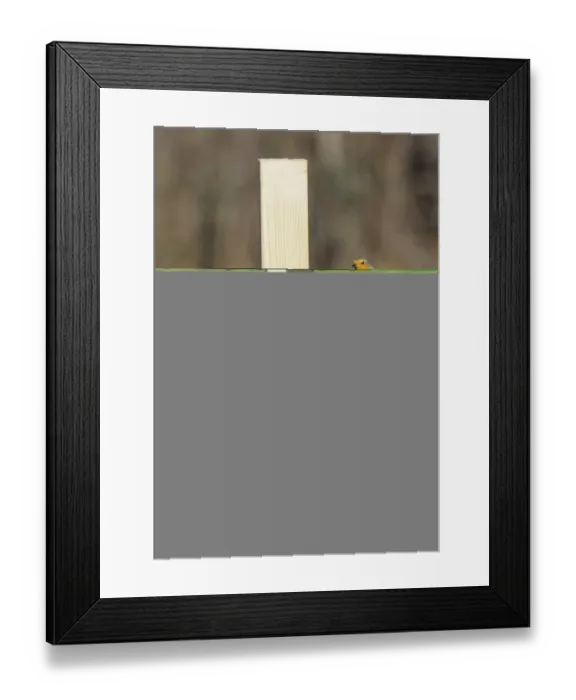 Framed Print : 002022 Framed Print : 002022