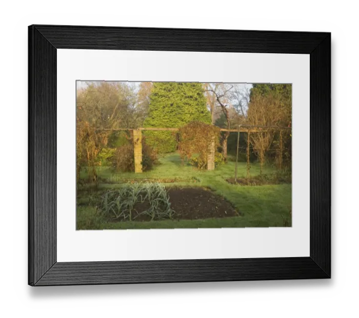 Framed Print : 02014dt. suburban garden in autumn Kent UK Framed Print : 02014dt. suburban garden in autumn Kent UK
