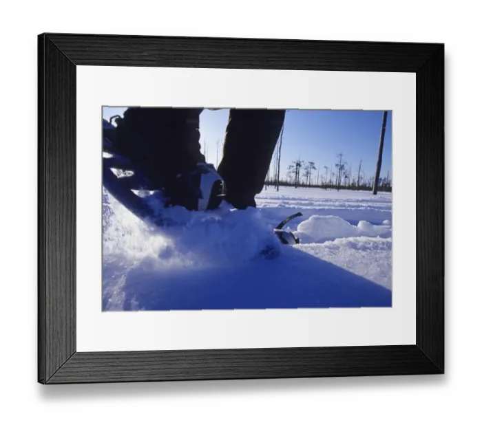 Framed Print : Walking in snow shoes through snow in Finnish Lapland winter Framed Print : Walking in snow shoes through snow in Finnish Lapland winter