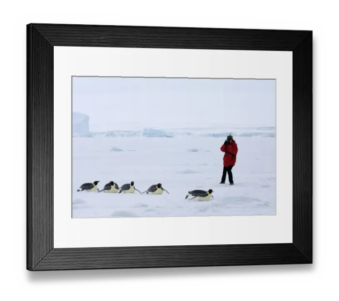 Framed Print : 01981dt. Tourist Framed Print : 01981dt. Tourist