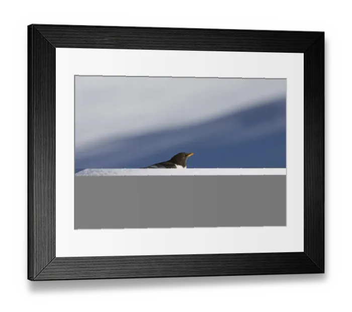 Framed Print : 002137 Framed Print : 002137