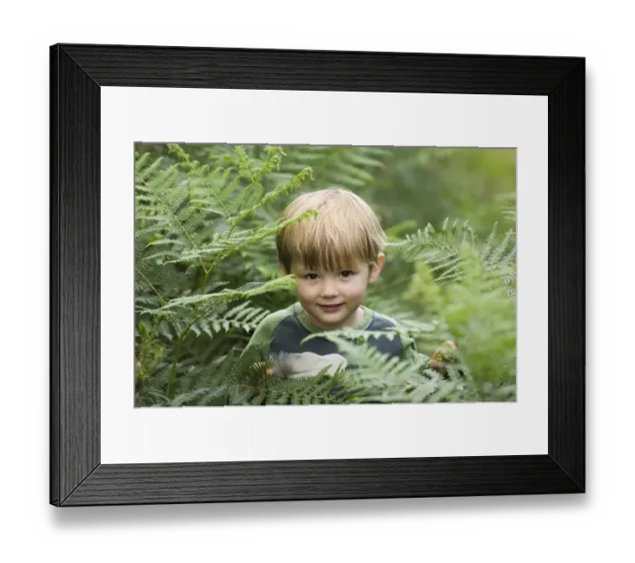 Framed Print : Young boy (3) peering through bracken in summer Norfolk UK Framed Print : Young boy (3) peering through bracken in summer Norfolk UK