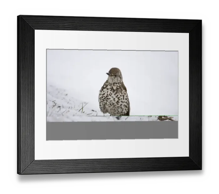 Framed Print : 002198 Framed Print : 002198