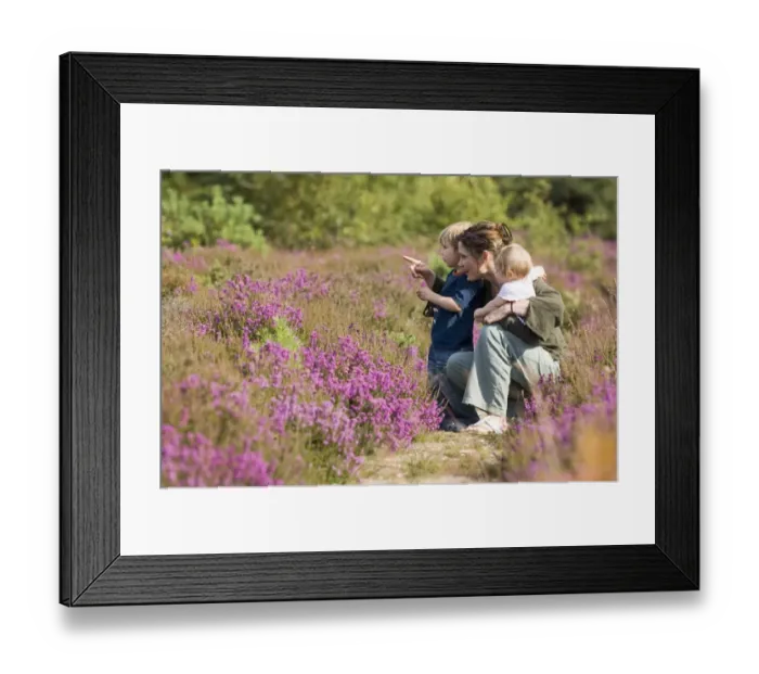 Framed Print : Mother and kids on heath in summer Norfolk UK Framed Print : Mother and kids on heath in summer Norfolk UK
