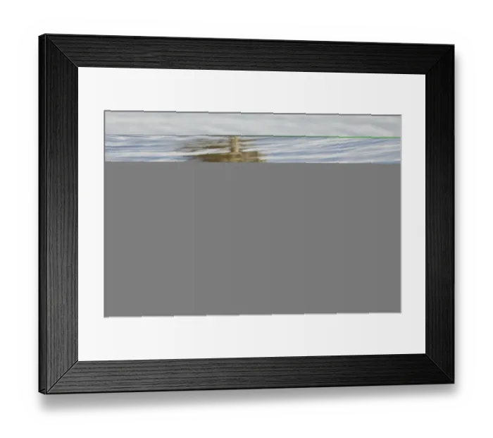 Framed Print : Ruff Philomachus pugnax moulting adult male August Norfolk Framed Print : Ruff Philomachus pugnax moulting adult male August Norfolk