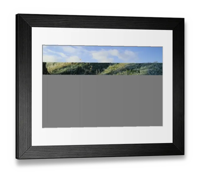 Framed Print : 02389dt. Frost covered hedgerow Kemsing Kent winter Framed Print : 02389dt. Frost covered hedgerow Kemsing Kent winter
