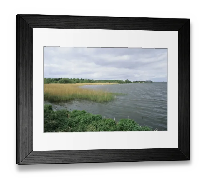 Framed Print : 02390dt. Oxford Island on Lough Neagh Northern Ireland Framed Print : 02390dt. Oxford Island on Lough Neagh Northern Ireland