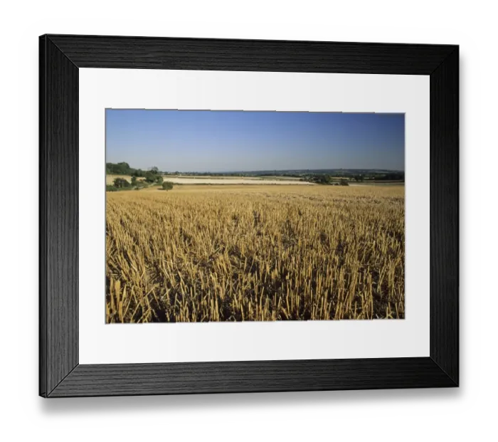 Framed Print : 02395dt. Stubble field Kent autumn