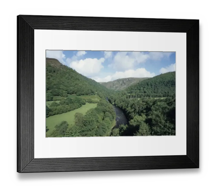 Framed Print : 02398dt. Dinas and Gwenffryd RSPB Reserves - hanging oak woods Mid Wales summer Framed Print : 02398dt. Dinas and Gwenffryd RSPB Reserves - hanging oak woods Mid Wales summer