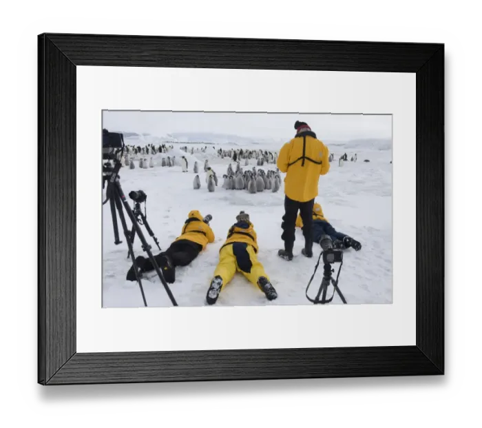 Framed Print : 02544dt. Tourists