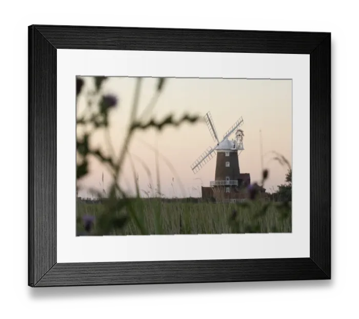 Framed Print : 02529dt. Cley Mill Cley North Norfolk summer (view from the reedbed) Framed Print : 02529dt. Cley Mill Cley North Norfolk summer (view from the reedbed)