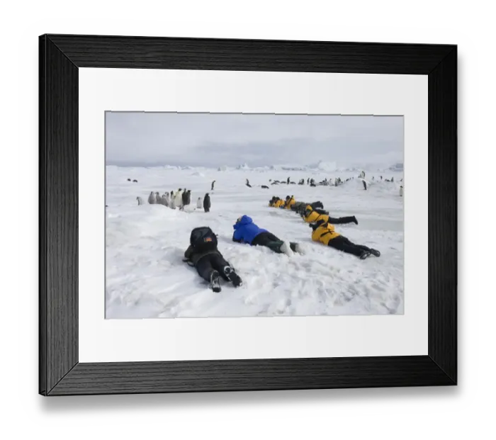 Framed Print : 02547dt. Tourists Framed Print : 02547dt. Tourists