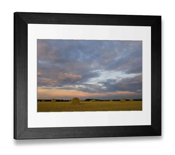 Framed Print : 02534dt. Hay bales at harvest time North Norfolk summer Framed Print : 02534dt. Hay bales at harvest time North Norfolk summer