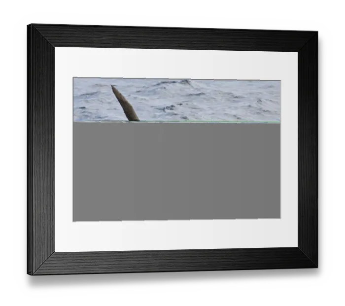 Framed Print : 002534 Framed Print : 002534