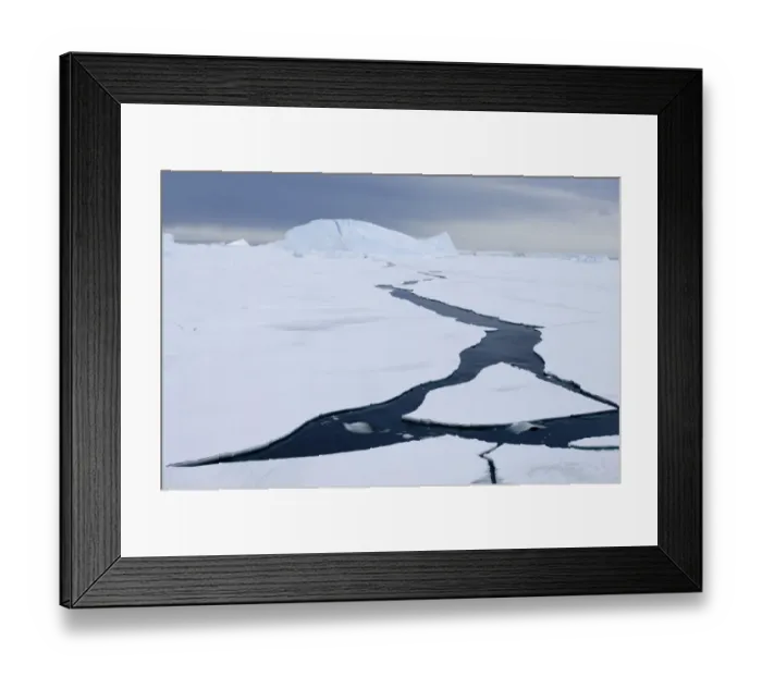 Framed Print : 02589dt. Pack