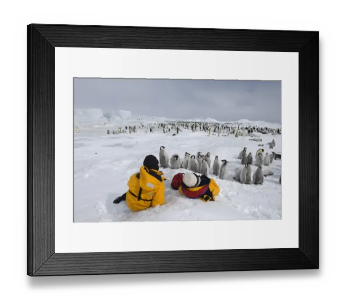 Framed Print : 02699dt. Eco-tourists Framed Print : 02699dt. Eco-tourists