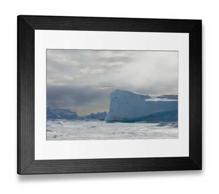 Framed Print : 02601dt. Blue Iceberg stuck in the sea ice of the Weddell Sea Antarctica November