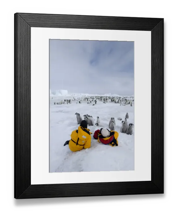 Framed Print : Eco-tourists at an Emperor Penguin colony at Snow Hill Island Weddell Sea Antarctica Framed Print : Eco-tourists at an Emperor Penguin colony at Snow Hill Island Weddell Sea Antarctica
