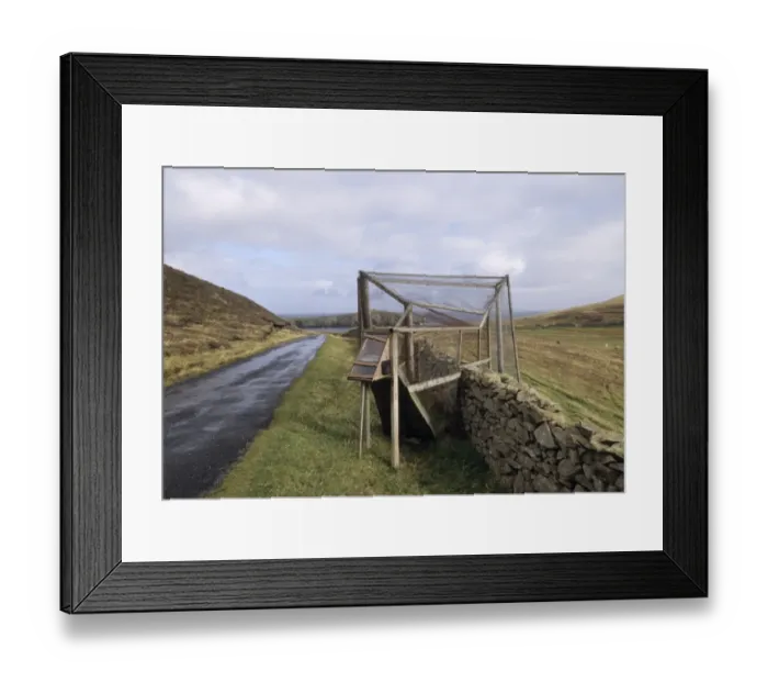 Framed Print : Heligoland trap on Fair Isle for catching birds to ring, Shetland Scotland Framed Print : Heligoland trap on Fair Isle for catching birds to ring, Shetland Scotland