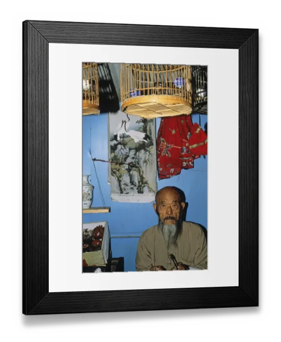 Framed Print : Bird trader in Beijing bird market China 1993. Siberian Rubythroat in cage hanging from ceiling Framed Print : Bird trader in Beijing bird market China 1993. Siberian Rubythroat in cage hanging from ceiling