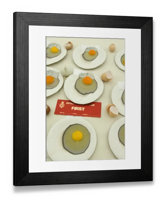 Framed Print : First place in chicken egg competition at Royal Norfolk Show Framed Print : First place in chicken egg competition at Royal Norfolk Show