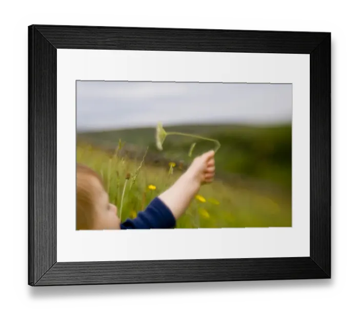 Framed Print : 10 month old boy exploring nature UK summer Framed Print : 10 month old boy exploring nature UK summer