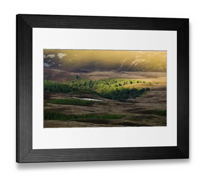 Framed Print : Caledonian Pine Forest below Cairngorm summit in Cairngorm National Park Scottish Framed Print : Caledonian Pine Forest below Cairngorm summit in Cairngorm National Park Scottish