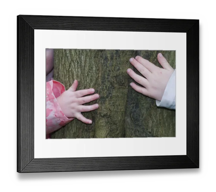 Framed Print : Kids hugging tree in Bluebell wood Bucks UK April Framed Print : Kids hugging tree in Bluebell wood Bucks UK April