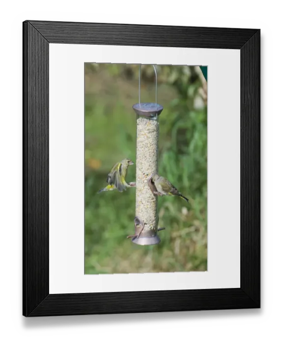 Framed Print : 002939 Framed Print : 002939