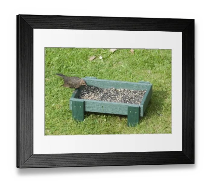 Framed Print : 002979 Framed Print : 002979