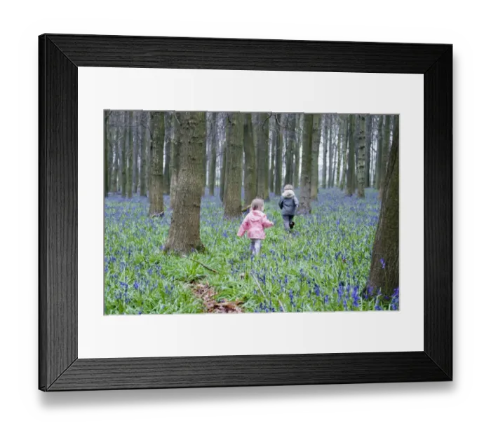 Framed Print : Kids playing in Bluebell Wood Bucks UK April Framed Print : Kids playing in Bluebell Wood Bucks UK April