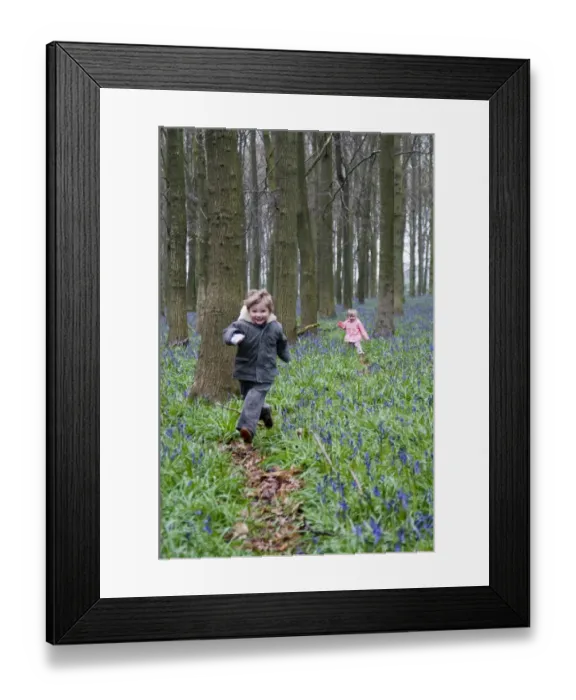 Framed Print : Kids playing in Bluebell Wood Bucks UK April Framed Print : Kids playing in Bluebell Wood Bucks UK April
