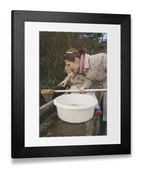 Framed Print : Mother and toddler pond dipping in spring UK Framed Print : Mother and toddler pond dipping in spring UK