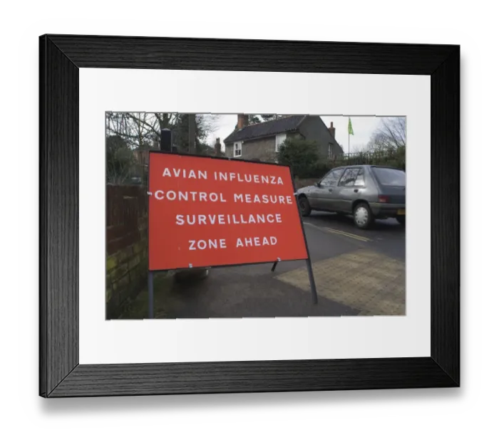 Framed Print : Bird Flu restriction zone sign Suffolk winter 2006 / 07 Framed Print : Bird Flu restriction zone sign Suffolk winter 2006 / 07