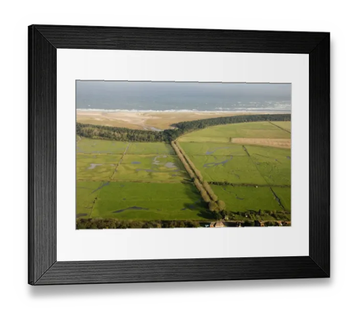 Framed Print : Lady Annes Drive bordered by grazing marsh Holkham North Norfolk autumn Framed Print : Lady Annes Drive bordered by grazing marsh Holkham North Norfolk autumn