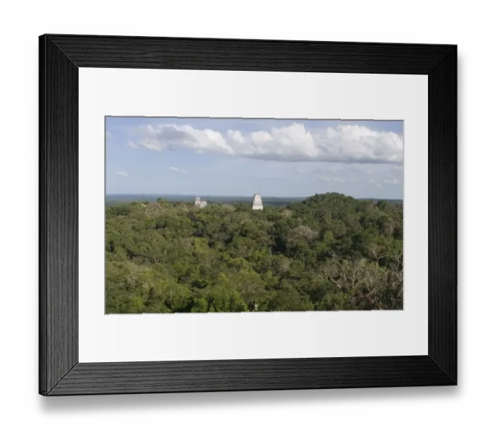 Framed Print : Temples rising above the rainforest at Tikal viewed from Temple 1V Guatemala Framed Print : Temples rising above the rainforest at Tikal viewed from Temple 1V Guatemala