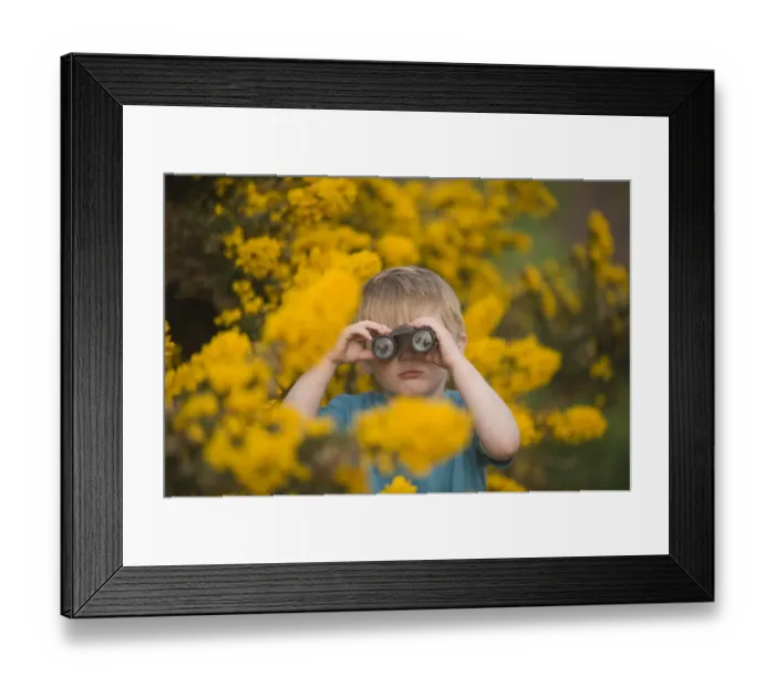 Framed Print : Toddler (3 Yr old boy) bird watching on heath Norfolk April Framed Print : Toddler (3 Yr old boy) bird watching on heath Norfolk April
