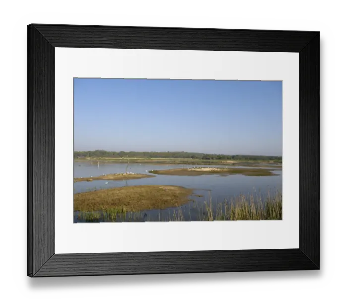 Framed Print : Scrape at Minsmere RSPB Reserve Suffolk April Framed Print : Scrape at Minsmere RSPB Reserve Suffolk April