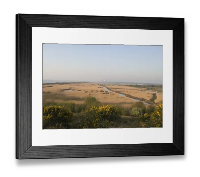 Framed Print : Minsmere RSPB Reserve viewed from Dunwich Heath Suffolk April Framed Print : Minsmere RSPB Reserve viewed from Dunwich Heath Suffolk April