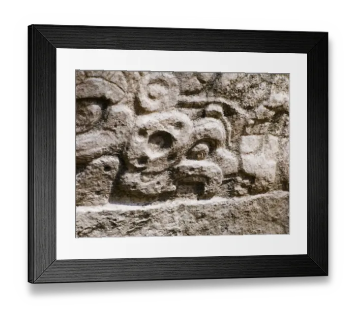 Framed Print : Glyph of a Parrot with a nut in bill from a Mayan Temple ay Yaxha in Peten Guatemala Framed Print : Glyph of a Parrot with a nut in bill from a Mayan Temple ay Yaxha in Peten Guatemala