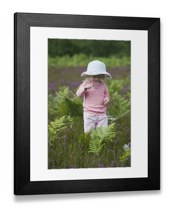Framed Print : Girl with magnifying glass looking at insects on heath North Norfolk July Framed Print : Girl with magnifying glass looking at insects on heath North Norfolk July