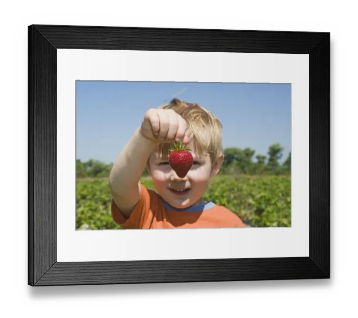 Framed Print : Toddler with strawberry at fruit farm Kent (MODEL RELEASED) Framed Print : Toddler with strawberry at fruit farm Kent (MODEL RELEASED)