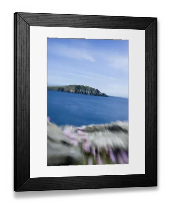 Framed Print : Sumburgh Head RSPB Reserve viewed from Scatness Shetland June Framed Print : Sumburgh Head RSPB Reserve viewed from Scatness Shetland June