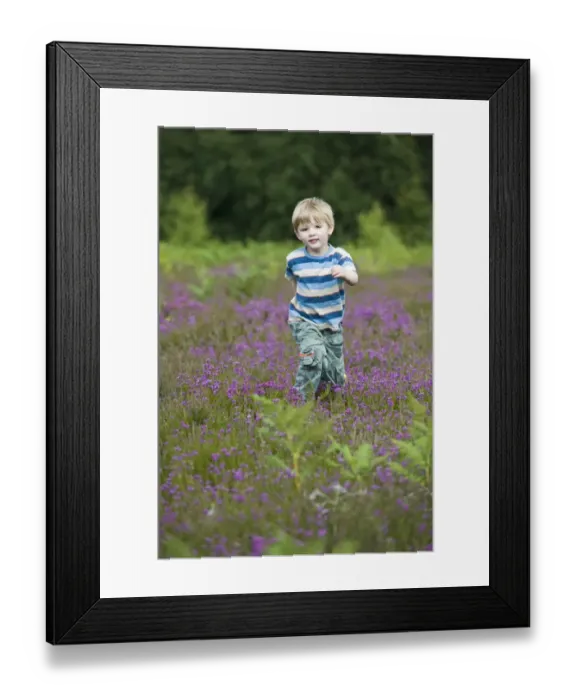 Framed Print : Boy running through heather on heath North Norfolk July Framed Print : Boy running through heather on heath North Norfolk July