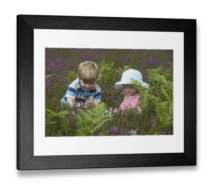 Framed Print : Boy and girl (4 & 2) with magnifying glass looking at insects on heath North Norfolk July Framed Print : Boy and girl (4 & 2) with magnifying glass looking at insects on heath North Norfolk July