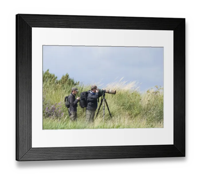 Framed Print : Bird photographers at Titchwell RSPB Reserve Norfolk July (unreleased)