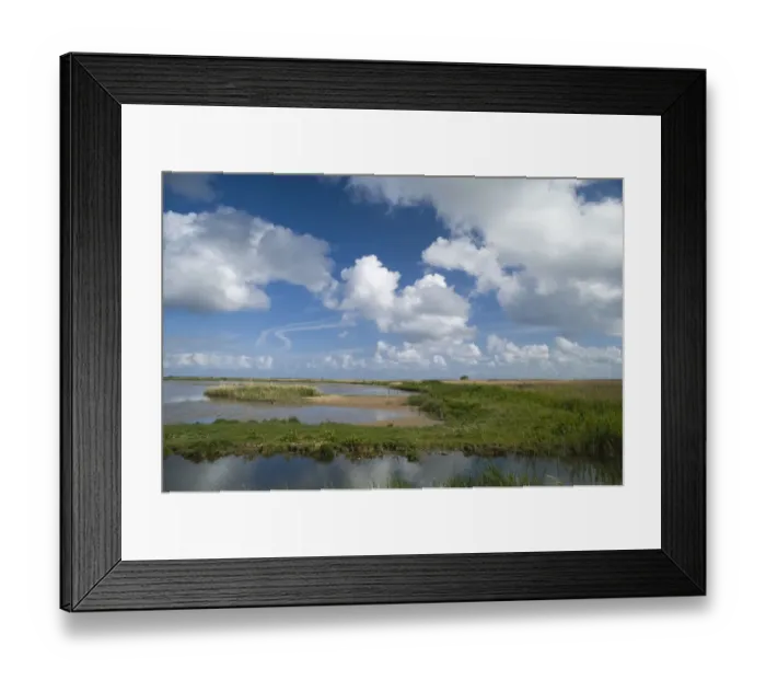 Framed Print : View across scrape from Bishop Hide at Cley NWT reserve North Norfolk Framed Print : View across scrape from Bishop Hide at Cley NWT reserve North Norfolk