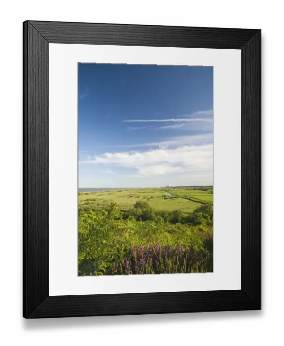 Framed Print : View across Minsmere RSPB Reserve from Dunwich Suffolk July Framed Print : View across Minsmere RSPB Reserve from Dunwich Suffolk July