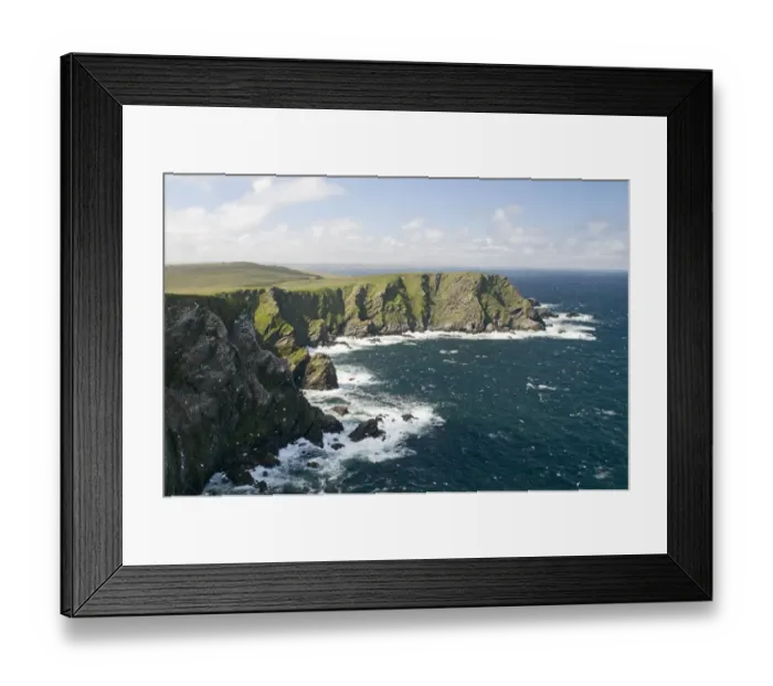 Framed Print : Sea cliffs at Hermaness NNR on Unst Shetland June Framed Print : Sea cliffs at Hermaness NNR on Unst Shetland June